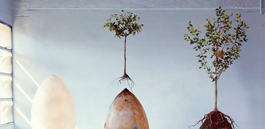 2-capsula-mundi-2