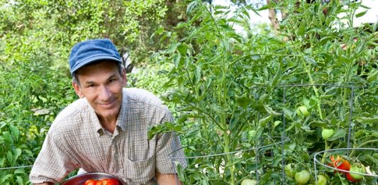 2017-devera-ter-producao-organica-recorde-no-pais-2