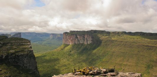 5428220530_917d27e7c8_b-2