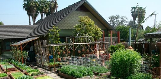 7-urban-homestead-destaque-2
