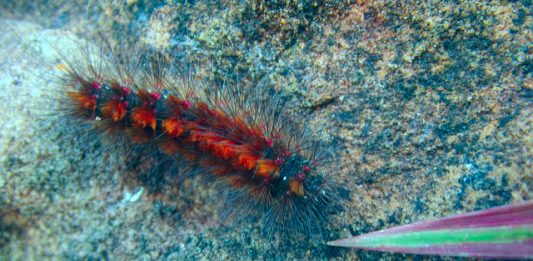 8478627967_cee7317c06_z-2