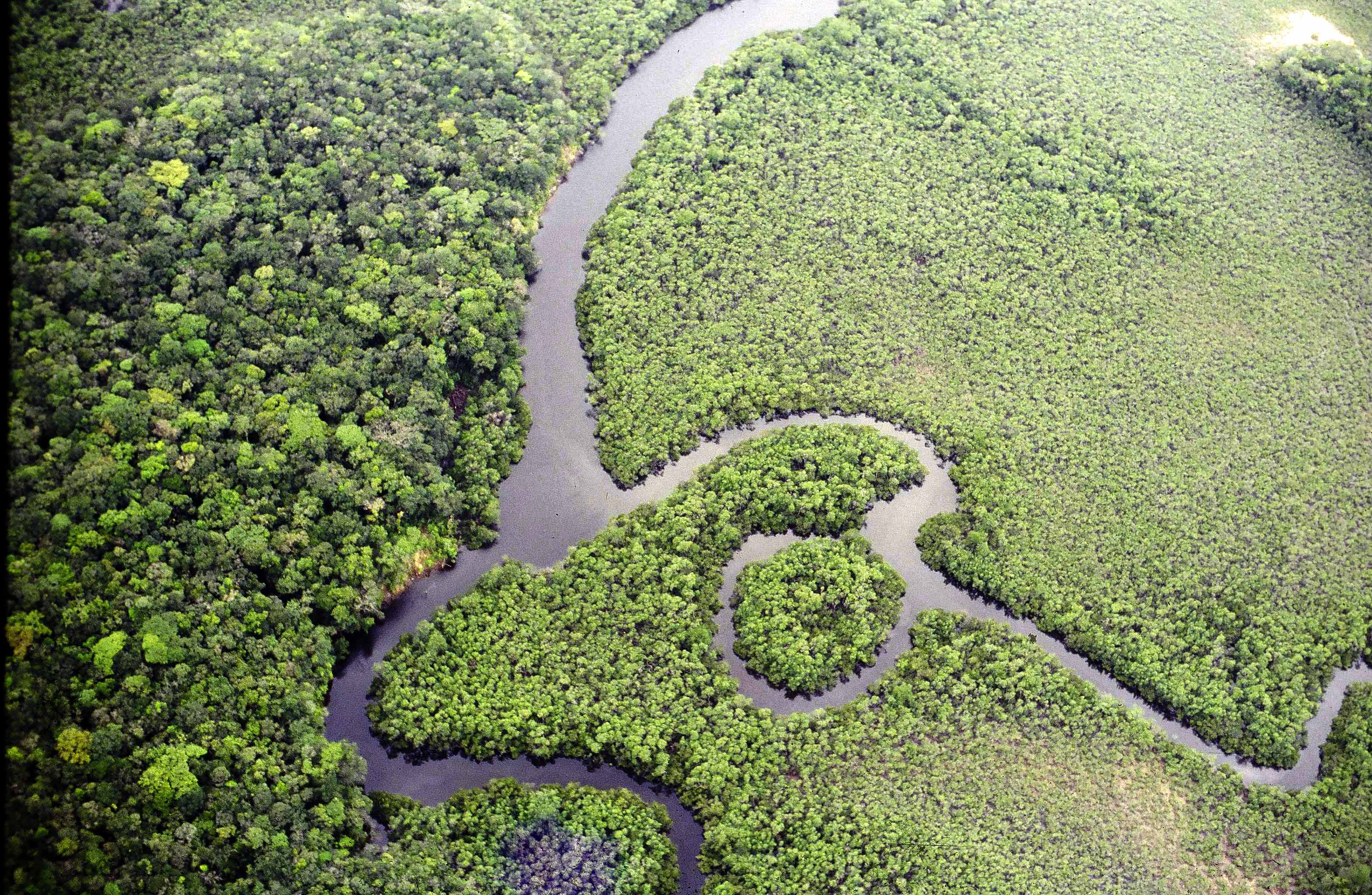 Resultado de imagem para reserva ambiental