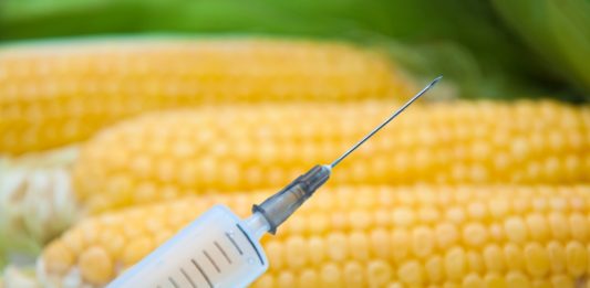 Depositphotos_12187147_l_stevanovicigor