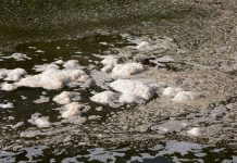 As causas da poluição da água: como resolver esse problema?