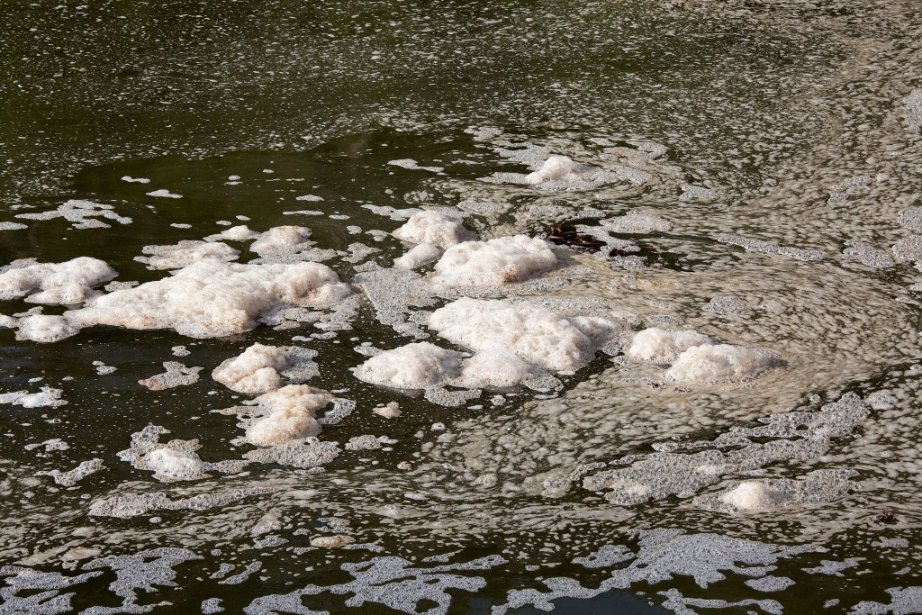 As Causas Da Poluicao Da Agua Como Resolver Esse Problema