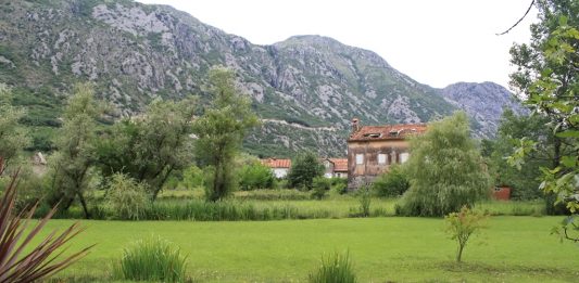 Depositphotos_14107298_original_badahos