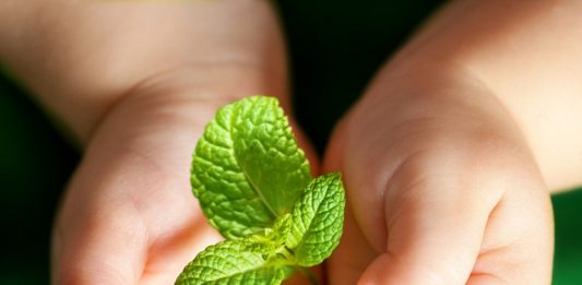 Depositphotos_18730085_original-karelnoppe