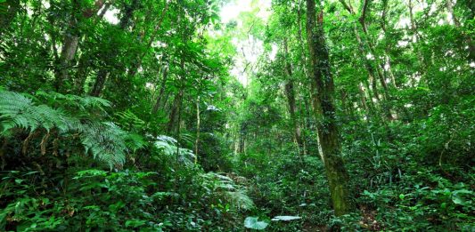 Depositphotos_18751389_original_leungchopan-3