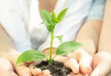 Evento sobre educação ambiental ocorrerá em Bertioga