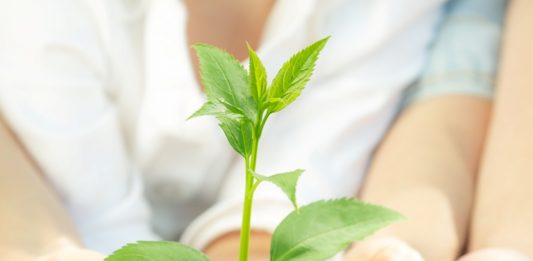 Depositphotos_21384425_original_Yaruta