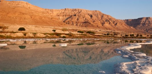 Depositphotos_2464914_original_6bears