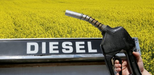 Depositphotos_2581954_l_weinheber