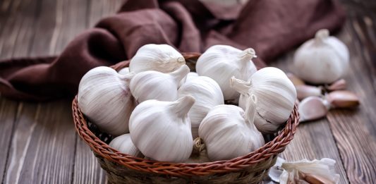 Depositphotos_26833587_original-yelenayemchuk