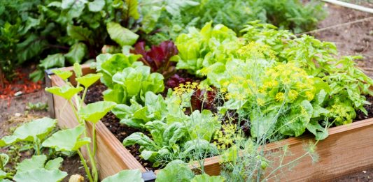 Depositphotos_28278709_original_urban_light