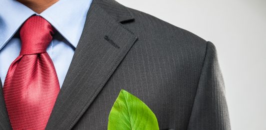 Depositphotos_34714743_original_minervastock