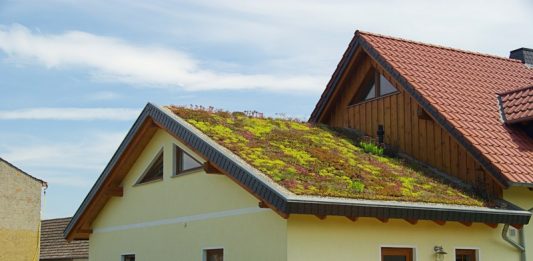 Depositphotos_35955165_original_Kassandra2