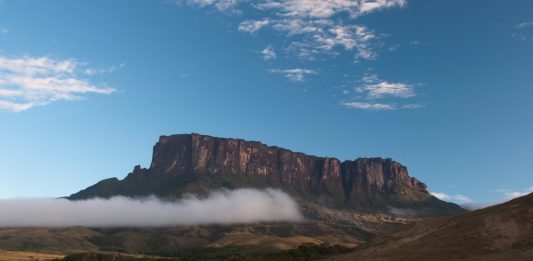 Depositphotos_36360607_original_coddie