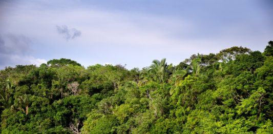 Depositphotos_37373117_original_atm2003