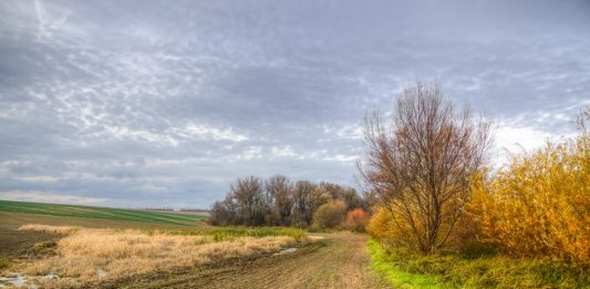 Depositphotos_4412887_original_hraska