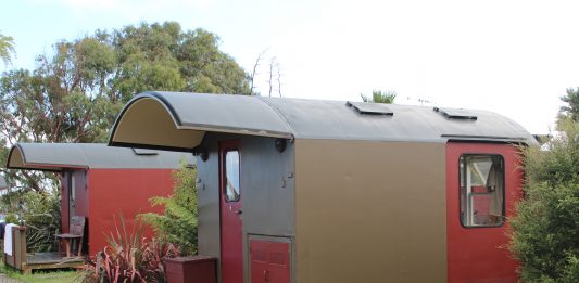 Foto-Acervo-pessoal-Priscila-Direste2