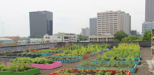 abrigo-atlanta-2