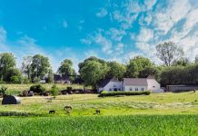 Agricultura da Dinamarca poderá ser 100% orgânica