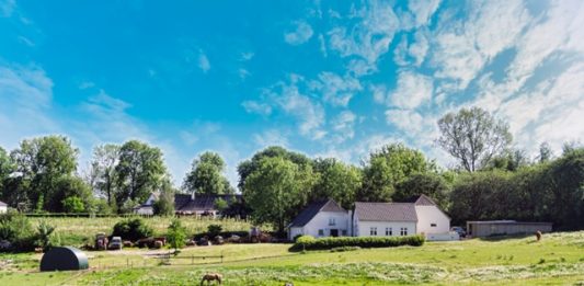 agricultura-dinamarca-2