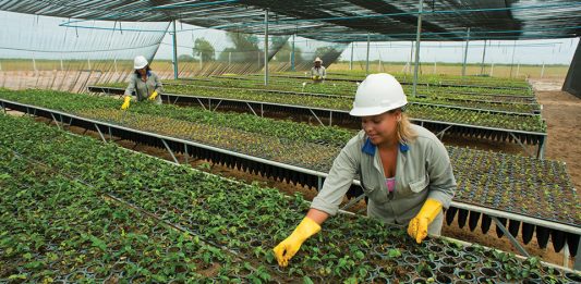 agricultura-familiar