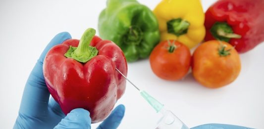 alimentos-transgenicos-nao-prejudicam-a-saude-aponta-estudo-2