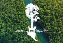 Projeto do Rock in Rio promoverá show inédito e reflorestará a Amazônia