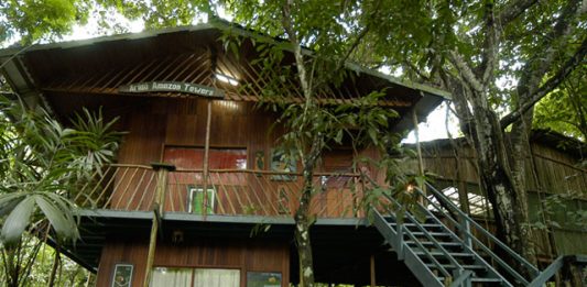 amazonia3
