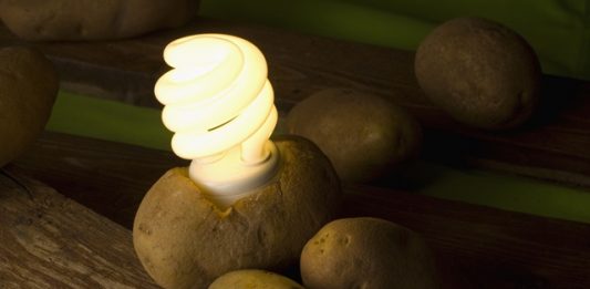 batata-pode-gerar-energia-2