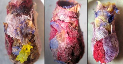 bees-flower-nests-sandwich-three_20051_600x4501-2