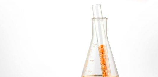 biocombustivel2