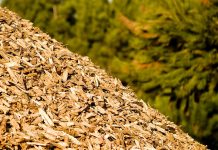 O que é cogeração de energia elétrica?