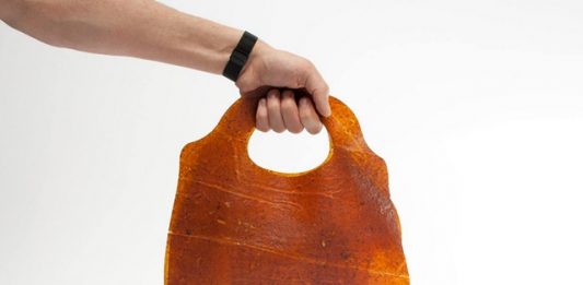 bolsa-frutaspodres-2