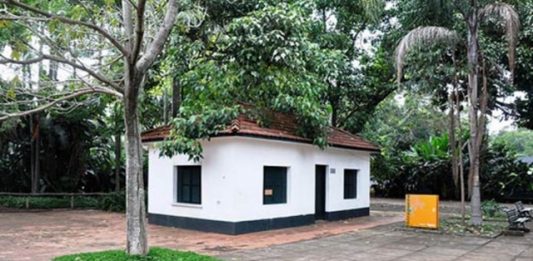 bosque-leitura-2