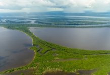 Zonas Úmidas: Brasil conta com sete novos sítios Ramsar