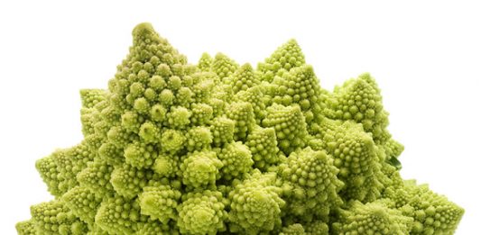 brocolis-2