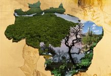 Meio ambiente é tema da Campanha da Fraternidade 2017