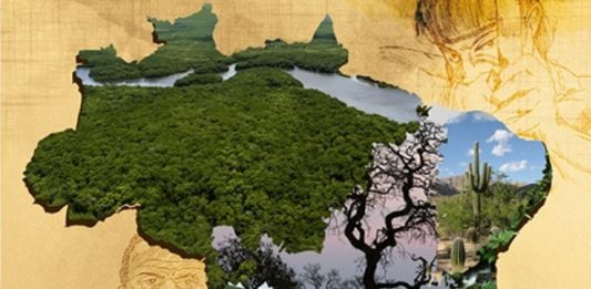 campanha-fraternidade-2