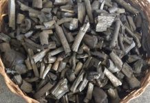 Uso do carvão ecológico reduz danos à natureza