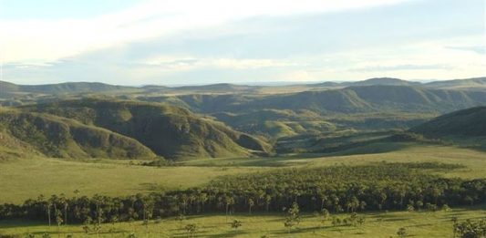 cerrado-6
