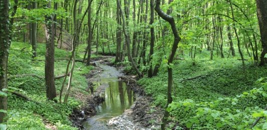 como-proteger-os-mananciais-2