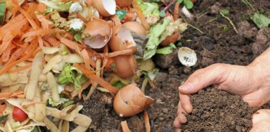 compostagem-4