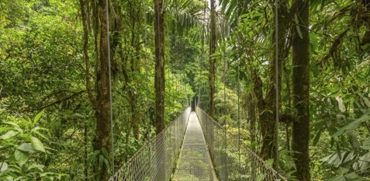 costa-rica-reverte-quadro-de-desmatamento-2
