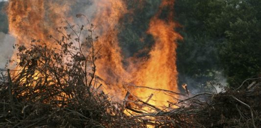 crimes-ambientais1-2