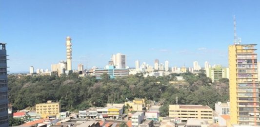 cuiaba-plantara-300-mil-mudas-de-arvore-2