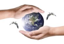 Abertas as inscrições para o 7º Circuito Tela Verde