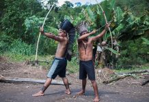Estudo revela que os índios são os verdadeiros defensores do meio ambiente